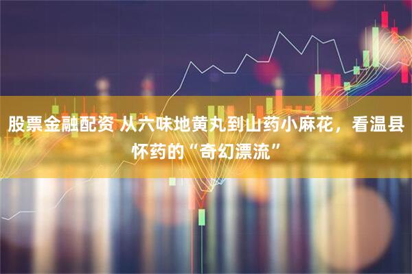 股票金融配资 从六味地黄丸到山药小麻花，看温县怀药的“奇幻漂流”