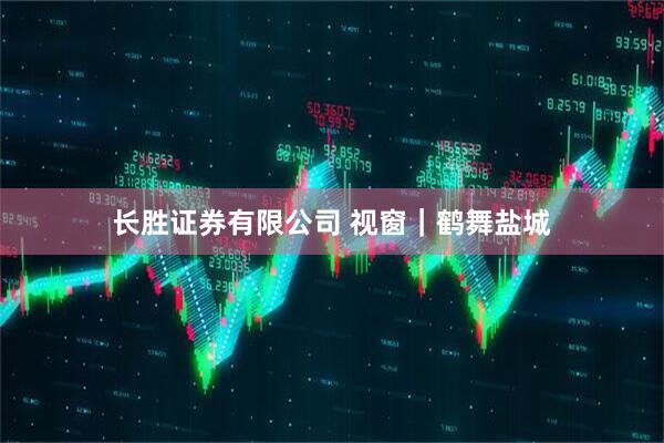长胜证券有限公司 视窗｜鹤舞盐城