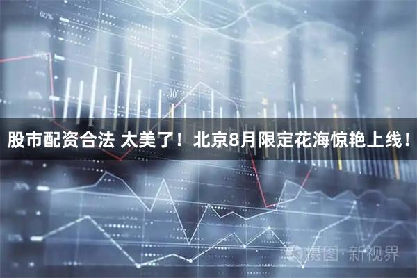 股市配资合法 太美了！北京8月限定花海惊艳上线！
