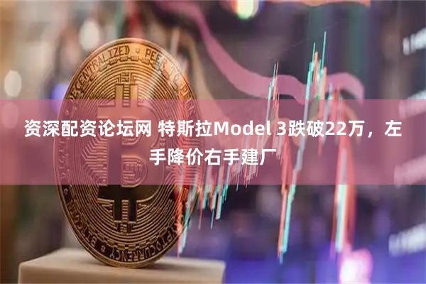 资深配资论坛网 特斯拉Model 3跌破22万，左手降价右手建厂