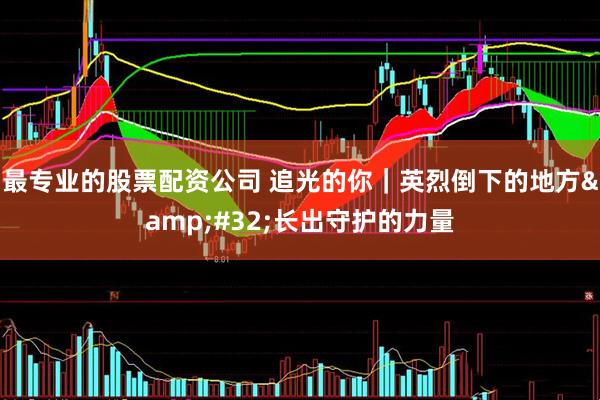 最专业的股票配资公司 追光的你｜英烈倒下的地方 长出守护的力量
